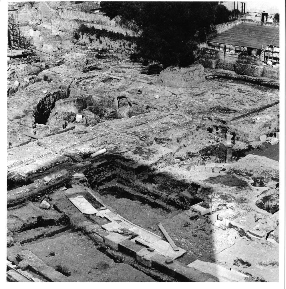 Vigna Barberini 29.tif