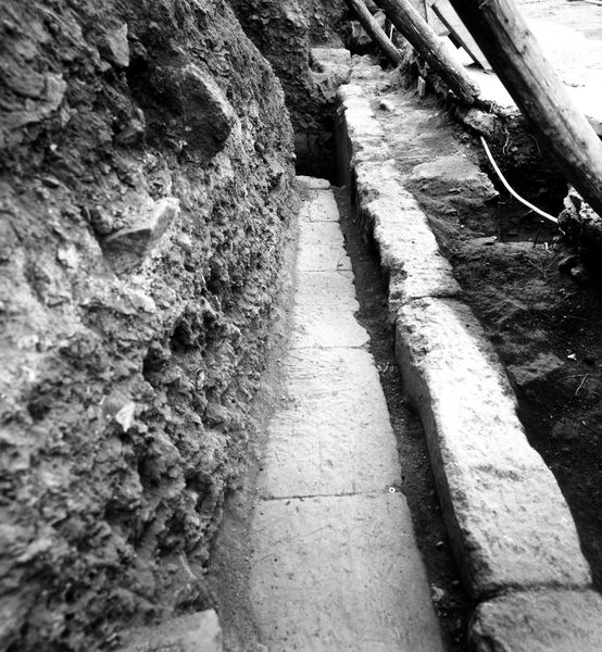 005716 - scavo archeologico - Clivio Palatino, lato sinistro: scavo, livello augusteo gennaio 1987