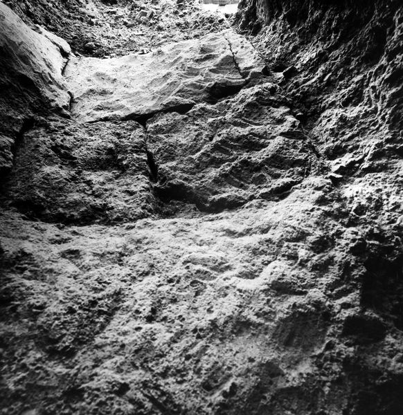 005724 - scavo archeologico - Clivio Palatino, lato sinistro: scavo, livello augusteo gennaio 1987