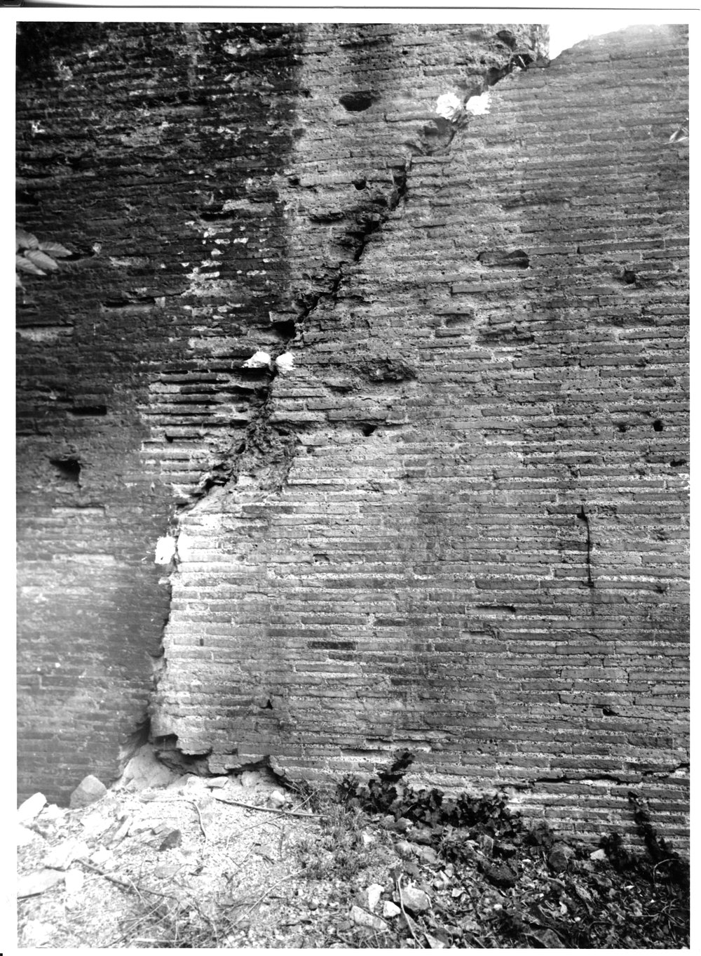 palatino 2 lato s.anastasia.tif