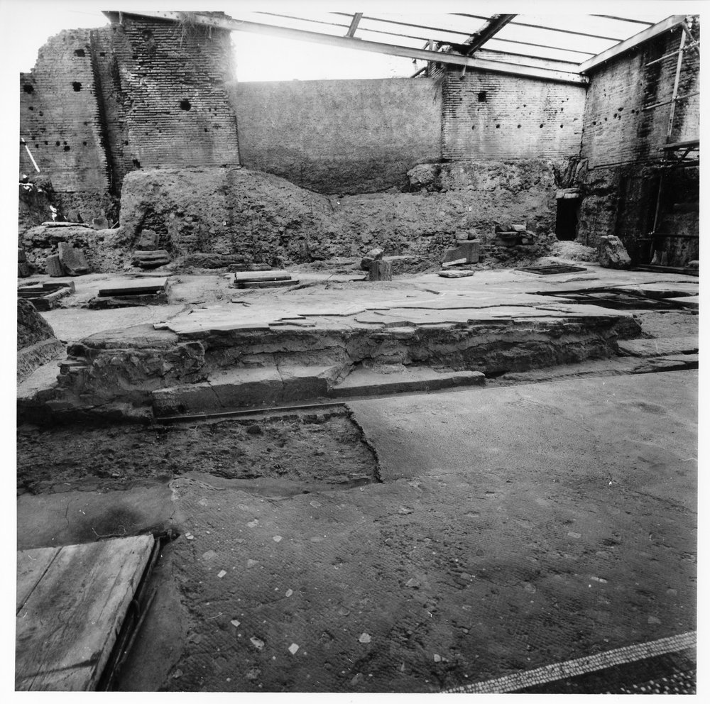 casa dei grifi 15.tif