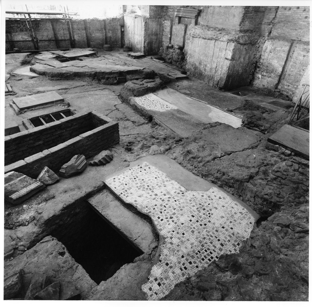 casa dei grifi 11.tif