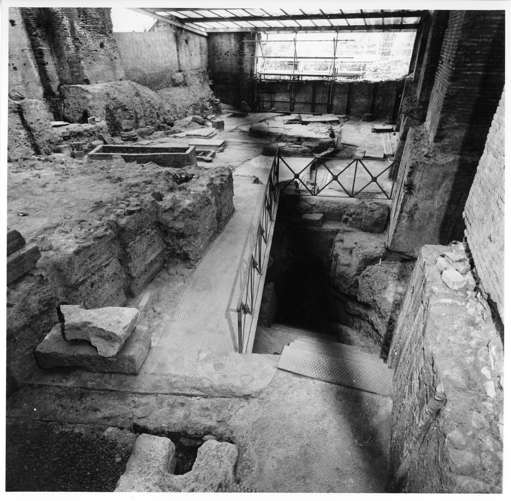 casa dei grifi 10.tif