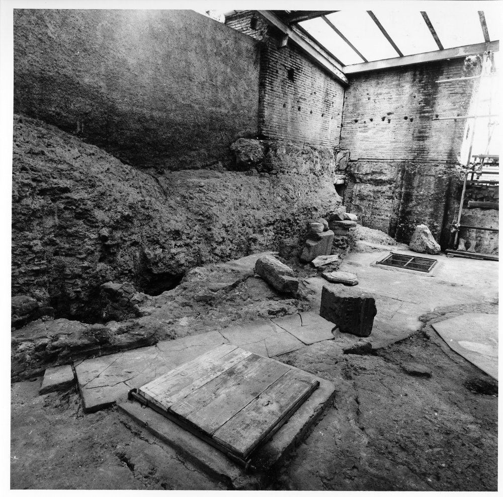 casa dei grifi 17.tif