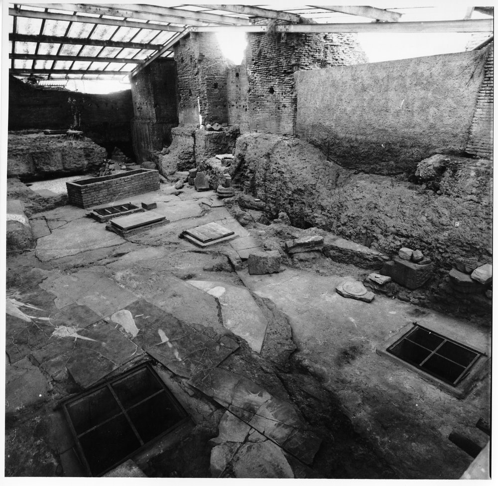 casa dei grifi 6.tif