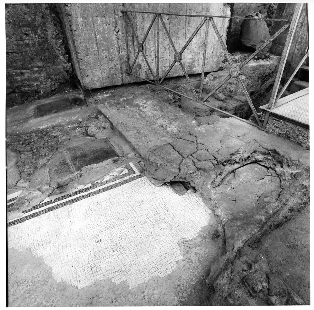 casa dei grifi 13.tif