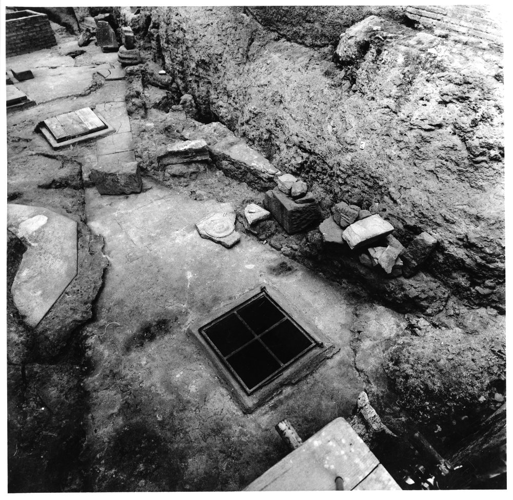 casa dei grifi 5.tif