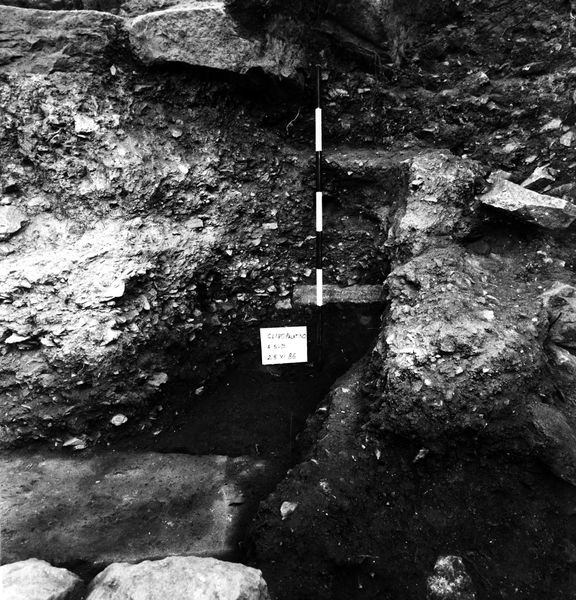 005734 - scavo archeologico - Clivio Palatino, lato sinistro: scavo, livello augusteo gennaio 1987
