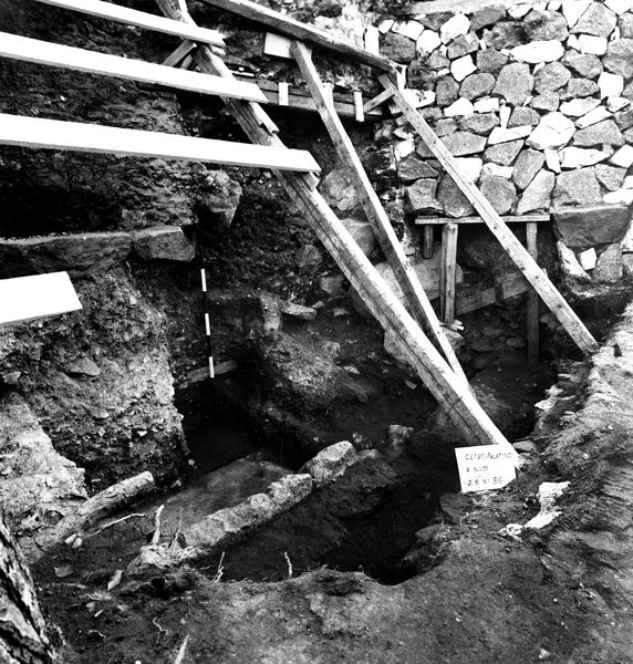 005737 - scavo archeologico - Clivio Palatino, lato sinistro: scavo, livello augusteo gennaio 1987