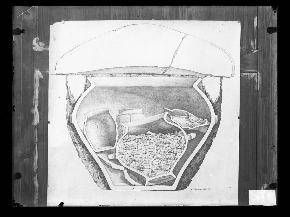 Lastra fotografica A 119 - 9 X 12.tif