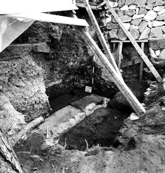 005742 - scavo archeologico - Clivio Palatino, lato sinistro: scavo, livello augusteo gennaio 1987