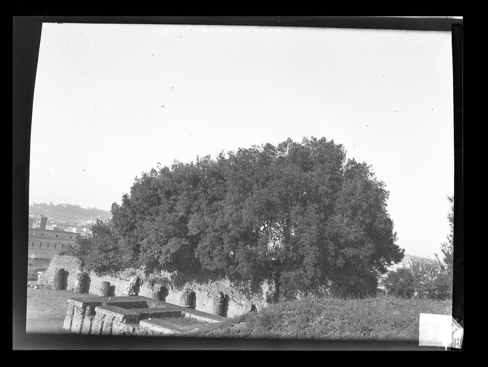 Lastra fotografica A 333 - 9 X 12.jpg