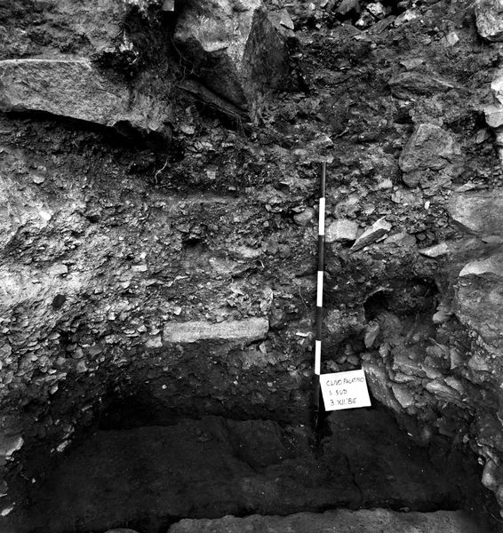 005746 - scavo archeologico - Clivio Palatino, lato sinistro: scavo, livello augusteo gennaio 1987