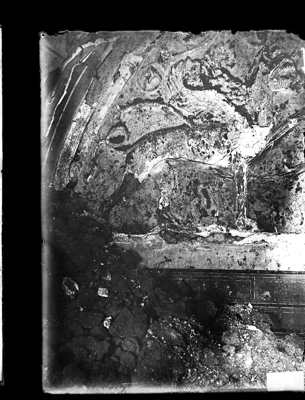 Lastra fotografica A 171 - 9X12.tif