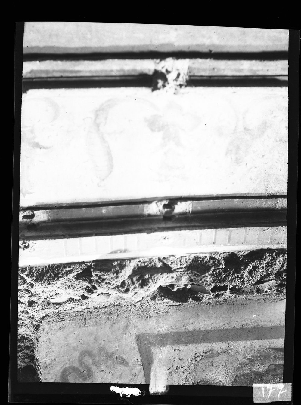 Lastra fotografica A 177 -9X12.tif
