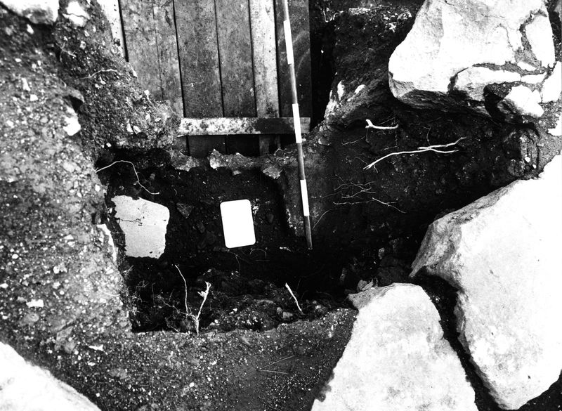 005756 - scavo archeologico - Clivio Palatino, lato sinistro: scavo, livello augusteo gennaio 1987