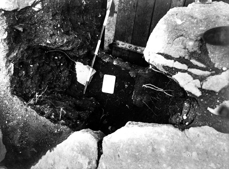 005757 - scavo archeologico - Clivio Palatino, lato sinistro: scavo, livello augusteo gennaio 1987