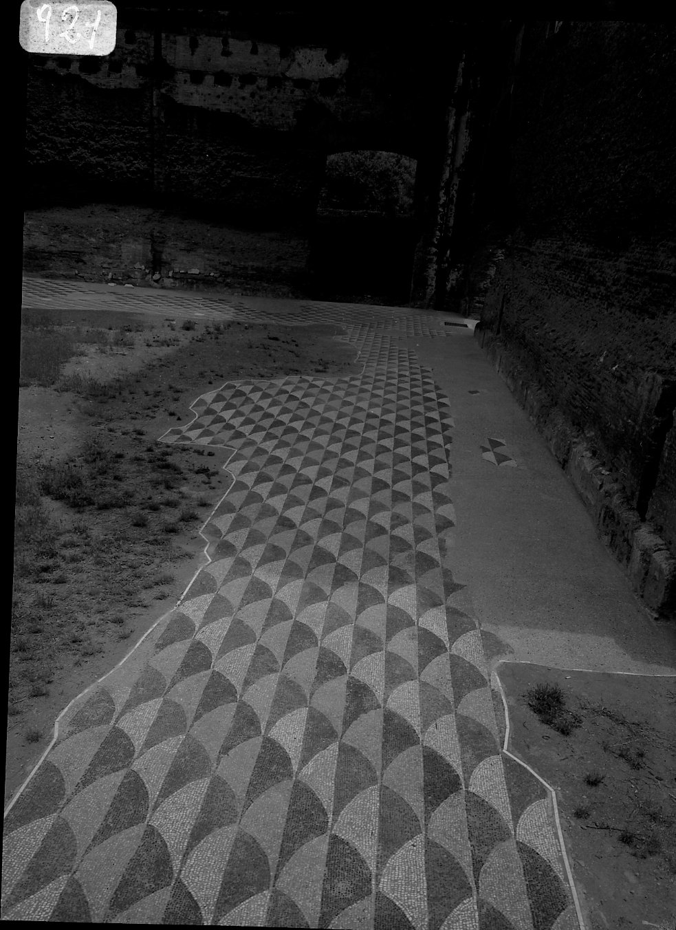 A 921 Caracalla - mosaico palestra occidentale dopo il restauro -1969.tif