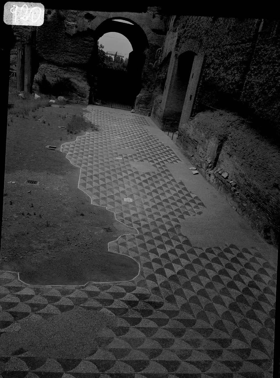 A 920 Caracalla - mosaico palestra occidentale dopo il restauro -1969.tif