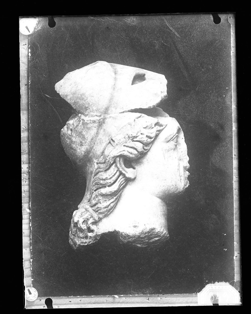 Lastra fotografica A 349 - 9 X 12 testa di Minerva ( ora perduta).jpg
