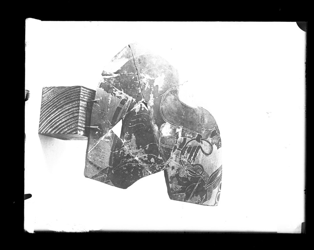Lastra fotografica A 98 - 9X12.tif