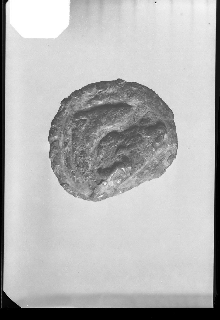 A 635 (9x6) monete rep.romana con testa di cavallo.jpg
