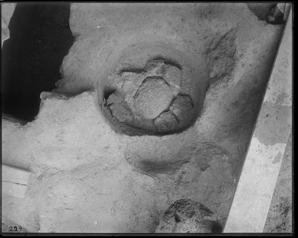 Sepulcretum - 229-asf015673.jpg