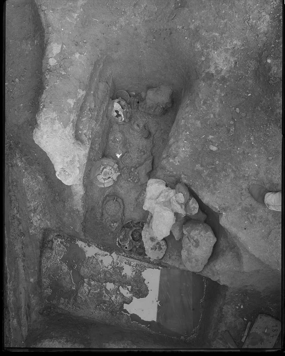 Sepulcretum - 184-asf015671.jpg