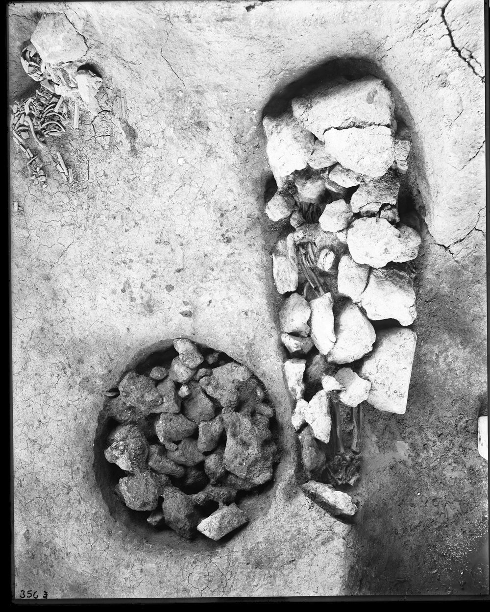 Sepulcretum - 356-asf015677.jpg