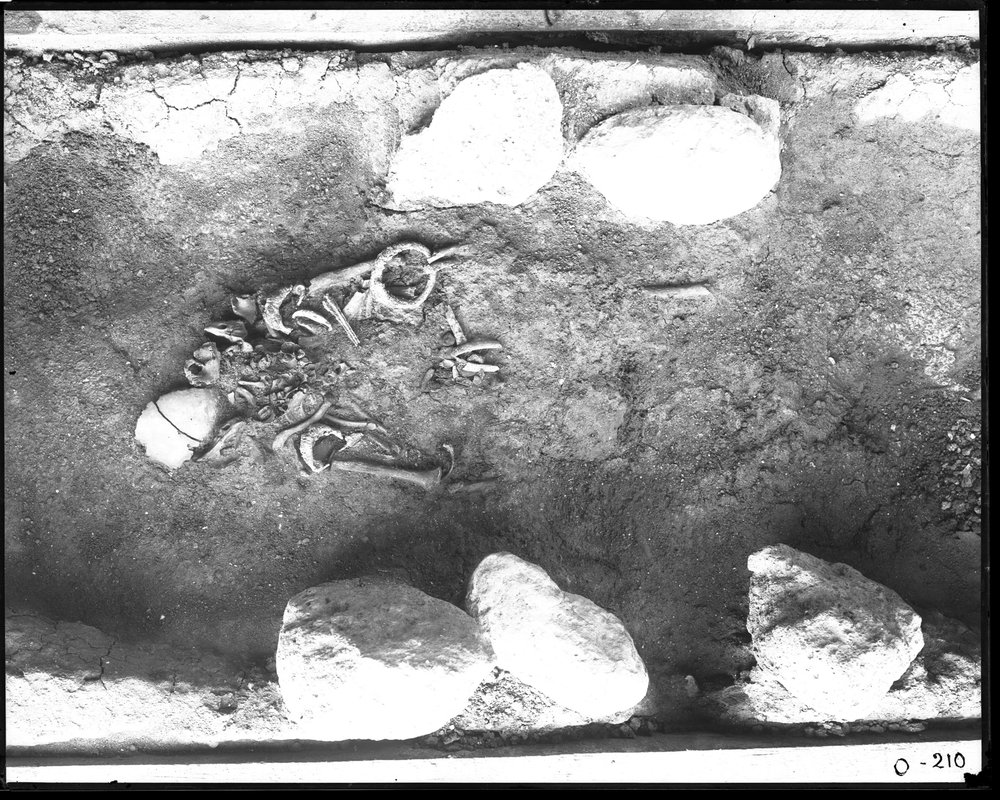 Sepulcretum - 210-asf015652.jpg