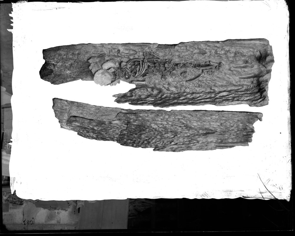 Sepulcretum - 182-asf015637.jpg