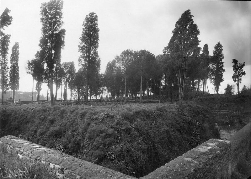 003304 - scavo archeologico - Domus Augustana, peristilio inferiore: durante i lavori di scavo, aprile 1936