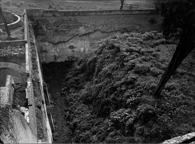 003305 - scavo archeologico - Domus Augustana, peristilio inferiore: prima dello scavo