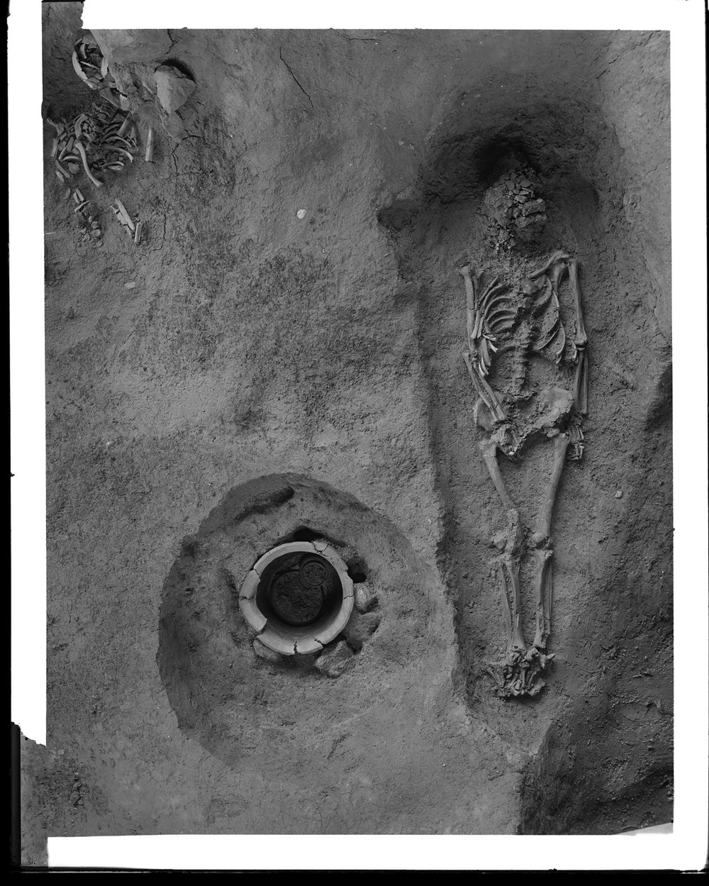 Sepulcretum - 352-asf015662.jpg