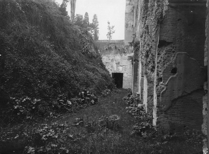 003307 - scavo archeologico - Domus Augustana, peristilio inferiore: prima dello scavo