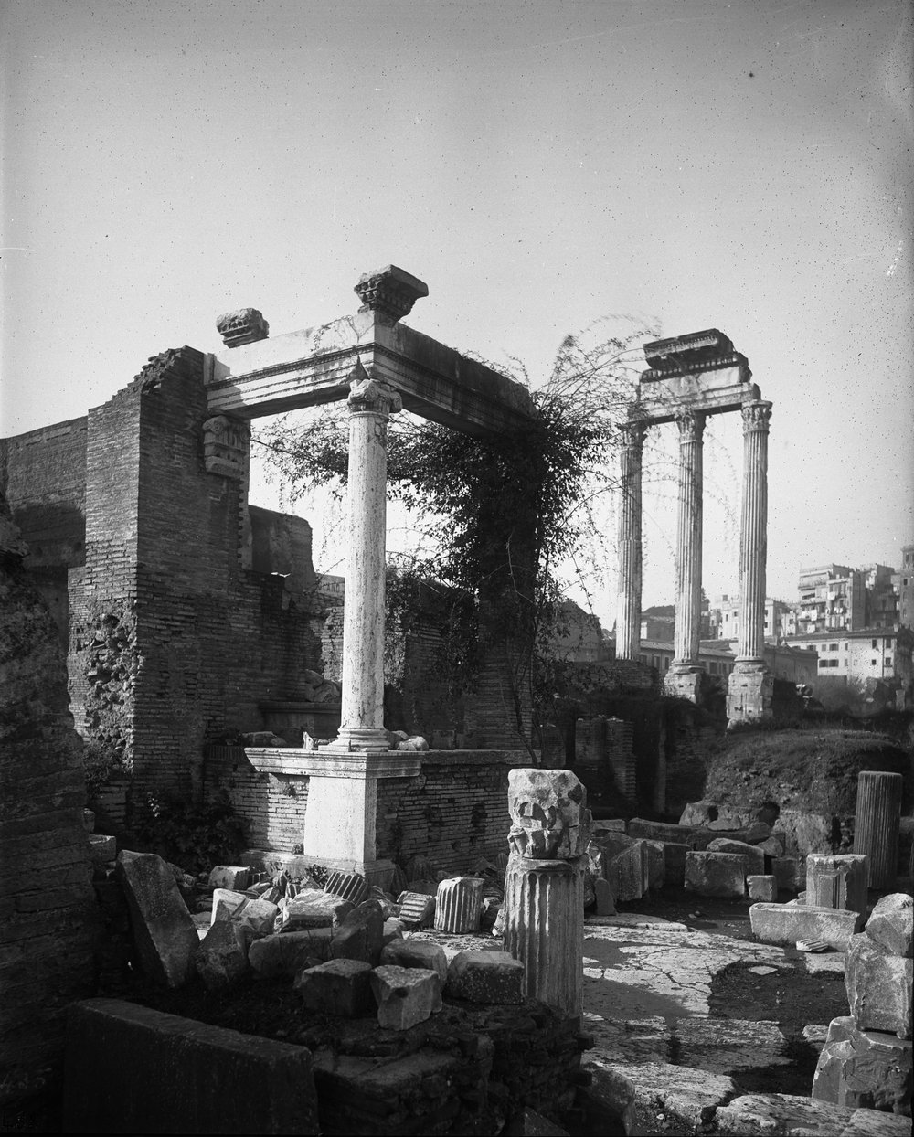 Flora 435-asf015227.jpg
