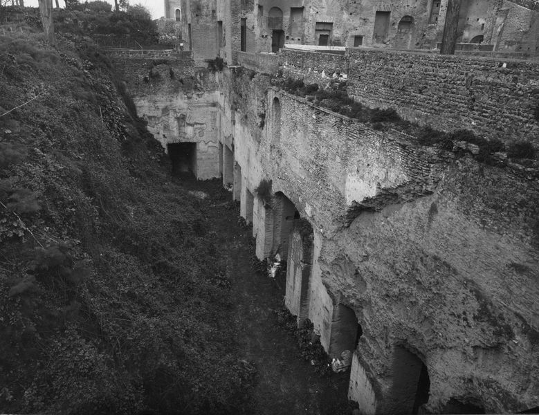 003308 - scavo archeologico - Domus Augustana, peristilio inferiore: prima dello scavo