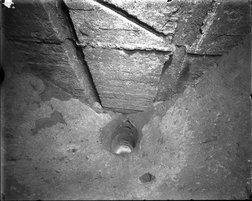 Mundus 557-asf015279.jpg