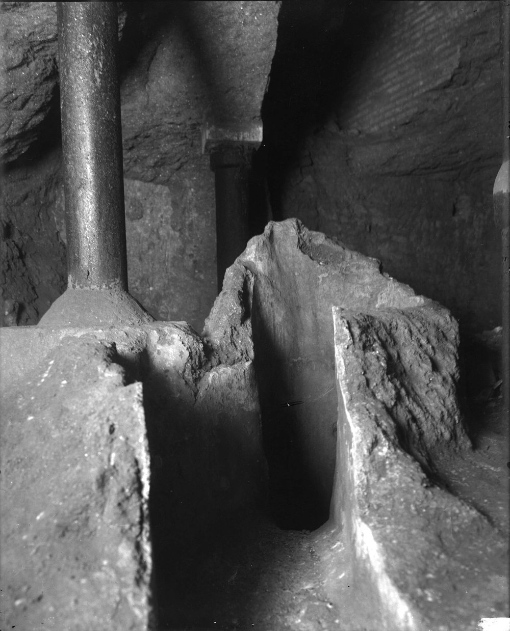 Mundus (forse) 587-asf015284.jpg