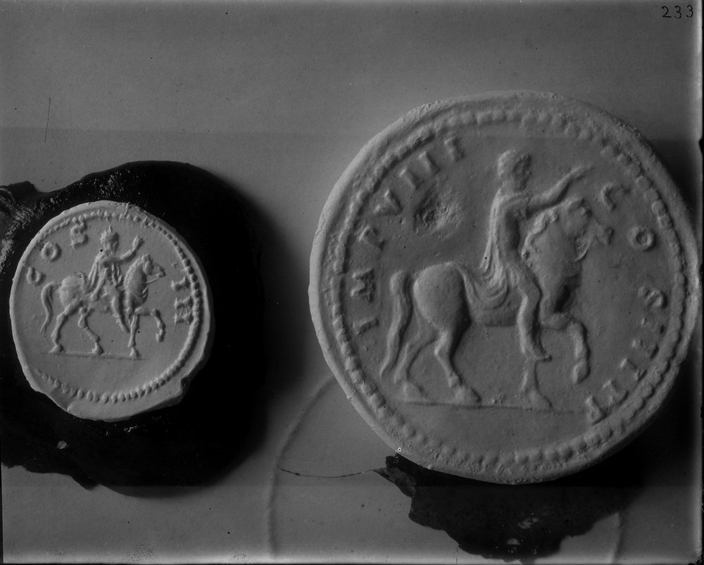 Equus Domitiani 233-asf015188.jpg
