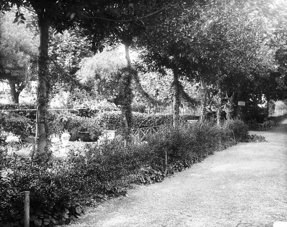 Giardini Farnesiani 580-asf015304.jpg
