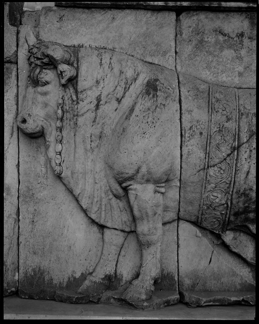Plutei di Traiano 213-asf015343.jpg