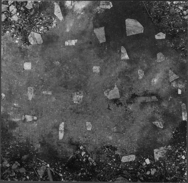 003410 - scavo archeologico - Domus Augustana fondazioni, saggio a Sud-Ovest del peristilio inferiore: pavimento di un ambiente scavato dal Bartoli