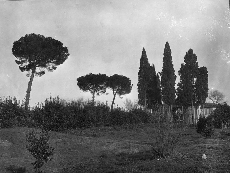 003415 - scavo archeologico - Domus Augustana, piano superiore: prima dello scavo