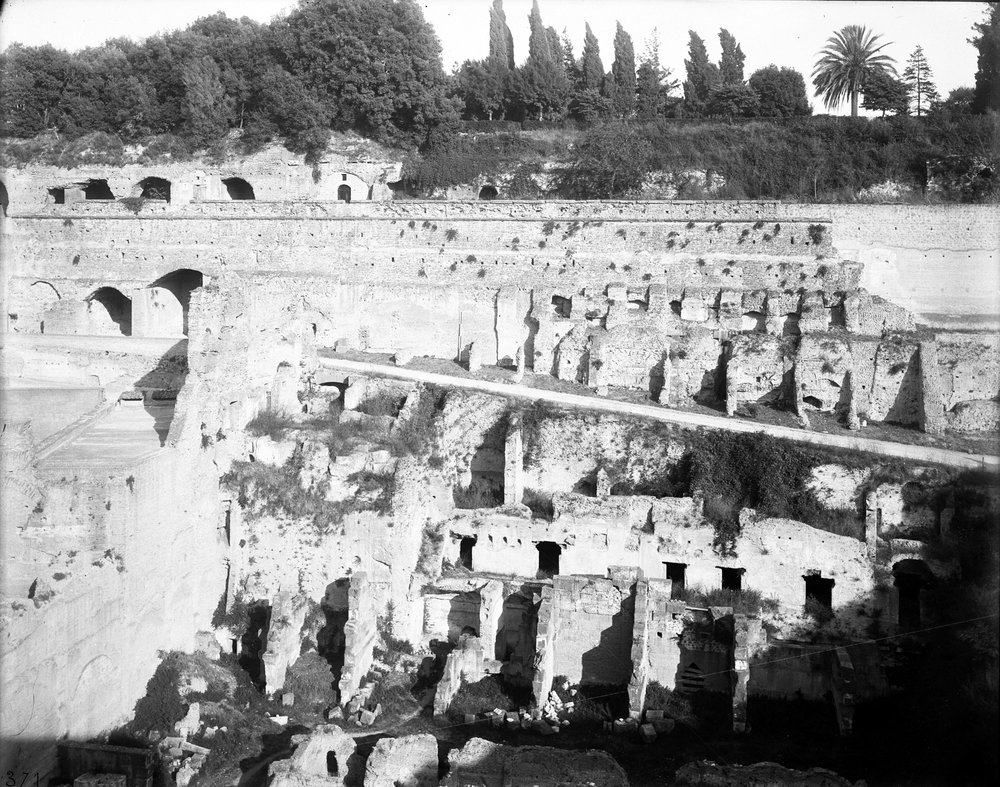 Palatino 371-asf015308.jpg