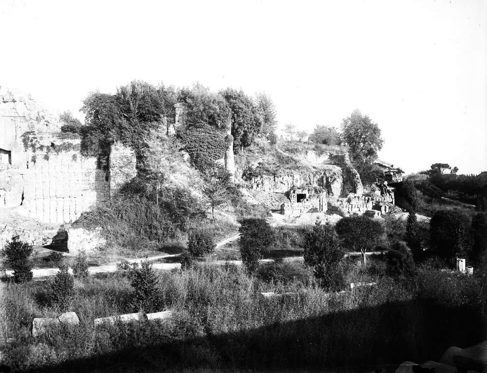 Palatino 373-asf015310.jpg