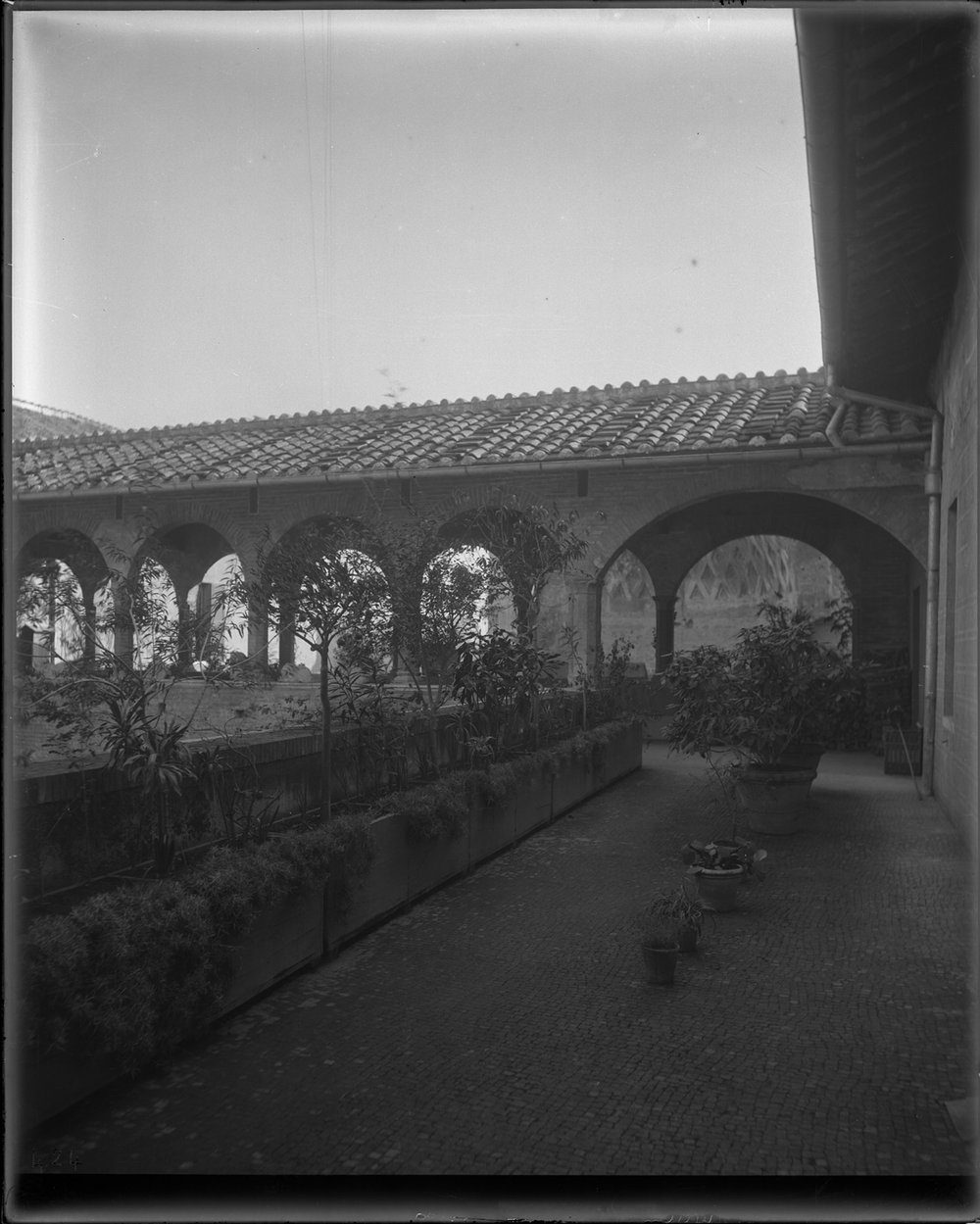 Ex Convento di S. Francesca Romana 424-asf015201.jpg