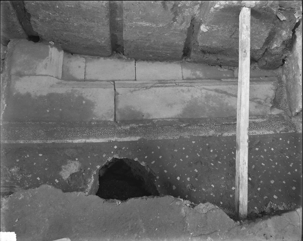 Casa dei Grifi 535-asf015096.jpg