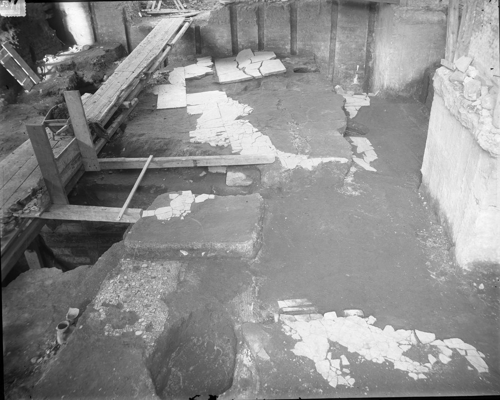 Casa dei Grifi 534-asf015095.jpg