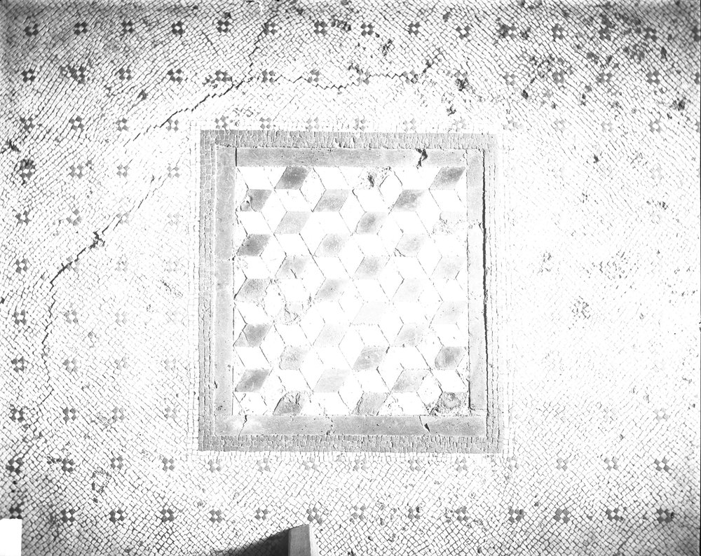 Casa dei Grifi 673-asf015094.jpg